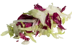 IJssla rode sla mix zak 500gr